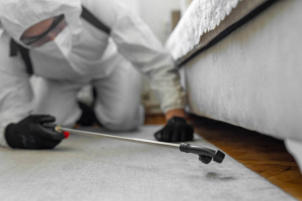 Professional Termite Control technician working in White Pine, TN