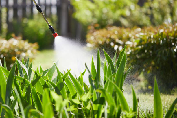 24/7 Emergency Termite Control experts in White Pine, TN